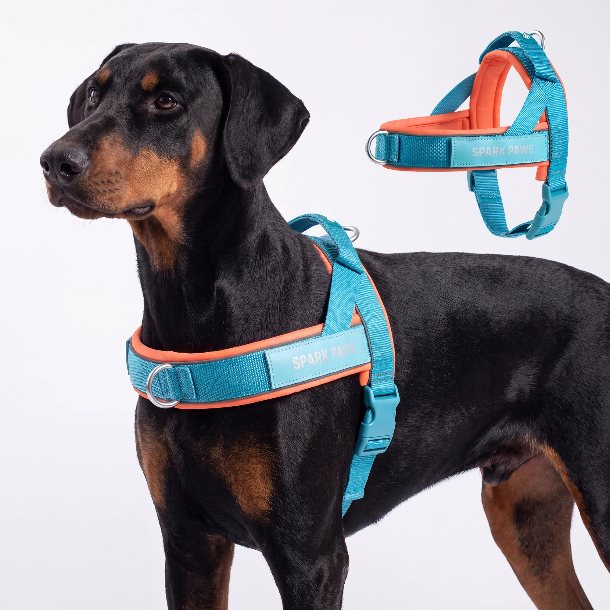 Product image 145